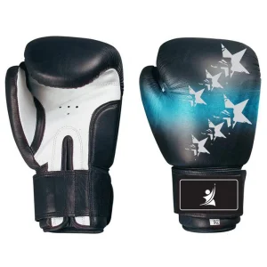 Pro Combat Leather Boxing Gloves – Matte Black Heavy Bag