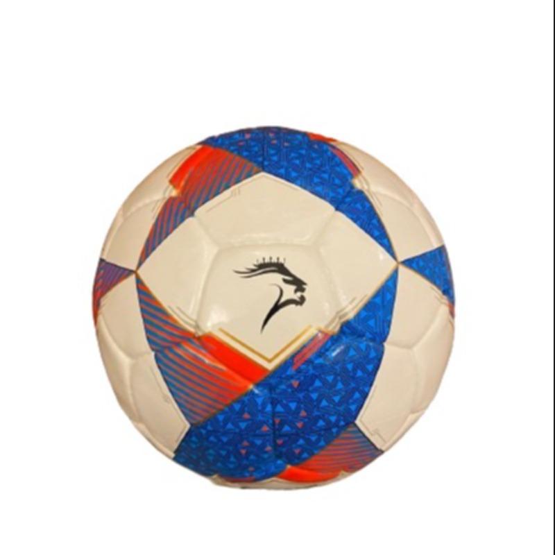 Soccer Balls | Professional & Training Match Footballs