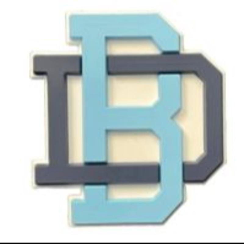 Custom 3D Adhesive PVC Helmet Bumpers | Baseball & Football