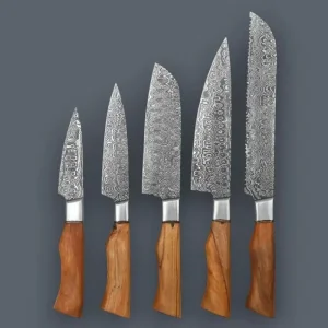 5-Piece Handcrafted Damascus Steel Kitchen Knife Set with Wooden Handles